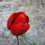 Villa Bajocasse Beautiful Charming House