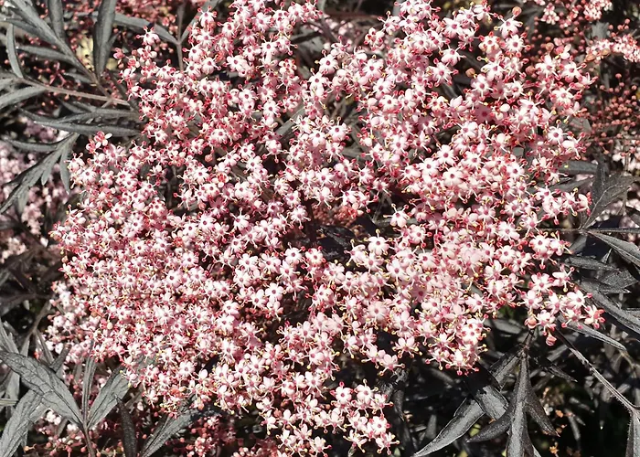 Bajocasse Beautiful Charming House