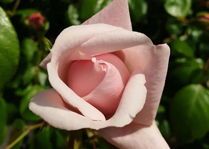 Bajocasse Beautiful Charming House * Bayeux